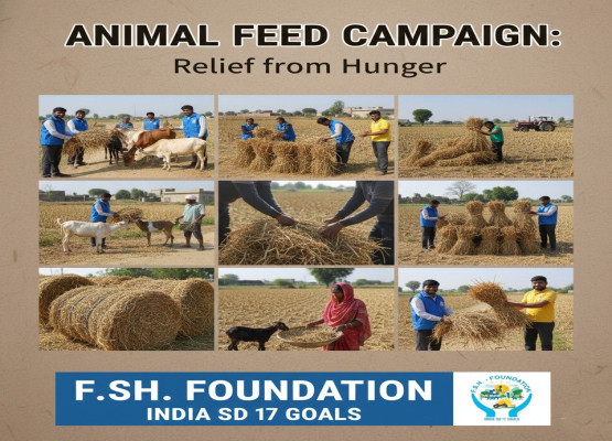 Animal Feed Campaign