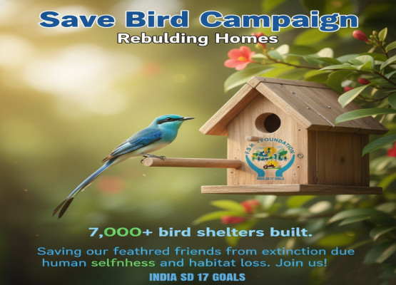 Bird Shelter Building / Save Bird Campaign