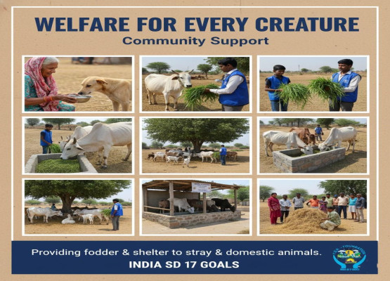 General Animal Welfare and Shelter Support